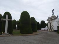 Stadtrundfahrt durch Punta Arenas - Friedhof (1)