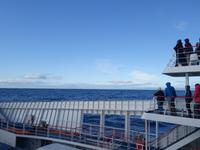 Mit der Fähre auf die Insel Feuerland (5)