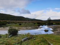 Tren del Fin del Mundo in Feuerland Nationalpark bei Ushuaia (7)