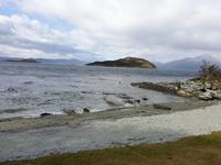 Wanderung am Beagle-Kanal im Feuerland-Nationalpark (5)