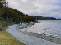 Wanderung am Beagle-Kanal im Feuerland-Nationalpark (6)