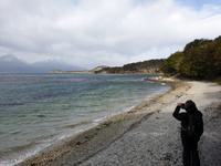 Wanderung am Beagle-Kanal im Feuerland-Nationalpark (1)