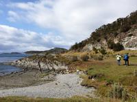 Wanderung am Beagle-Kanal im Feuerland-Nationalpark (2)