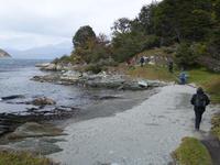 Wanderung am Beagle-Kanal im Feuerland-Nationalpark (12)