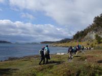 Wanderung am Beagle-Kanal im Feuerland-Nationalpark (15)