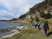 Wanderung am Beagle-Kanal im Feuerland-Nationalpark (16)