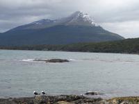 Wanderung am Beagle-Kanal im Feuerland-Nationalpark (19)