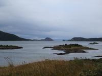 Wanderung am Beagle-Kanal im Feuerland-Nationalpark (8)