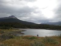 Wanderung am Beagle-Kanal im Feuerland-Nationalpark (9)