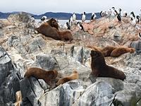 Katamaran-Bootsfahrt auf dem Beagle-Kanal  (9)