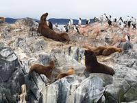 Katamaran-Bootsfahrt auf dem Beagle-Kanal  (10)