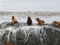 Katamaran-Bootsfahrt auf dem Beagle-Kanal  (11)