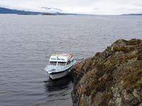 Katamaran-Bootsfahrt auf dem Beagle-Kanal  (14)