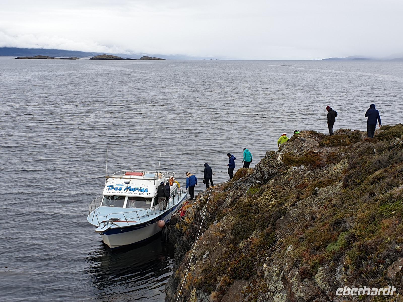 Katamaran-Bootsfahrt auf dem Beagle-Kanal  (16)