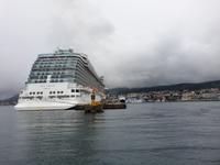 Katamaran-Bootsfahrt auf dem Beagle-Kanal  (19)