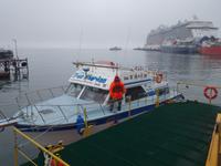 Katamaran-Bootsfahrt auf dem Beagle-Kanal  (20)