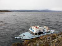 Katamaran-Bootsfahrt auf dem Beagle-Kanal  (21)