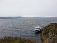 Katamaran-Bootsfahrt auf dem Beagle-Kanal  (22)