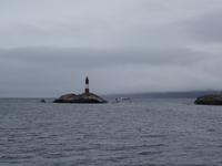 Katamaran-Bootsfahrt auf dem Beagle-Kanal  (26)