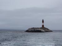 Katamaran-Bootsfahrt auf dem Beagle-Kanal  (28)