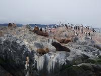 Katamaran-Bootsfahrt auf dem Beagle-Kanal  (30)