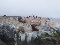 Katamaran-Bootsfahrt auf dem Beagle-Kanal  (32)