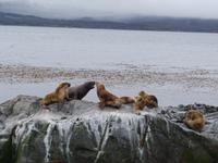 Katamaran-Bootsfahrt auf dem Beagle-Kanal  (35)