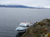 Katamaran-Bootsfahrt auf dem Beagle-Kanal  (41)