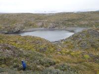 Katamaran-Bootsfahrt auf dem Beagle-Kanal  (1)