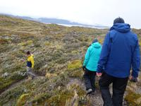 Katamaran-Bootsfahrt auf dem Beagle-Kanal  (2)