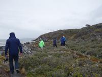 Katamaran-Bootsfahrt auf dem Beagle-Kanal  (4)