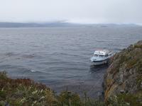 Katamaran-Bootsfahrt auf dem Beagle-Kanal (3)