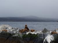 Katamaran-Bootsfahrt auf dem Beagle-Kanal (9)