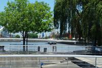 Buenos Aires‘ Speicherstadt mit Segelschiff hinter Bäumen