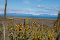 Vor dem Lago Argentino