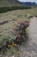 Wanderung vom Mirador de las Águilas in Richtung des Dorfes Chaltén