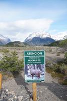 Näher kommen wir an das Huemul nicht dran, als durch solche Warnschilder