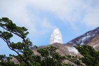 El Chaltén hinter Lenga-Zweigen 
