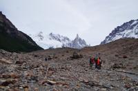 Blumen werden fotographiert