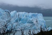 Eisschollen schwimmen nach einen Abbruch vor dem Gletscher