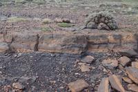 vielfarbiges Sedimentgestein 