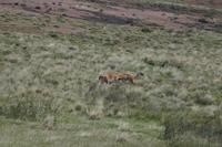 Es geht in Richtung dahin, wo es wirklich weh tut