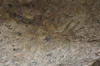 1000 Jahre alte Malereien