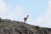 Auf Beobachtungsposten 