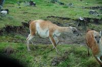 Einer räumt das Feld