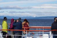 Anden von der Magellanstraße aus gesehen 