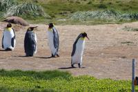 informelle Unterhaltung