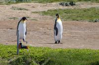 Warte mal... - Wieso? 