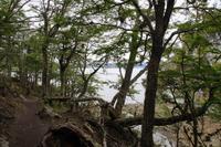 Wanderung am Beagle Canal