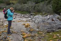 Angst vor Menschen? Iwo...